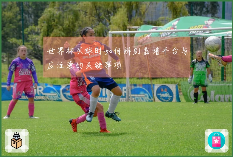 世界杯买球时如何辨别靠谱平台与应注意的关键事项