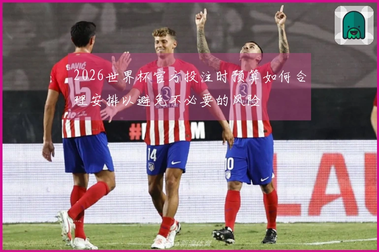 2026世界杯官方投注时预算如何合理安排以避免不必要的风险