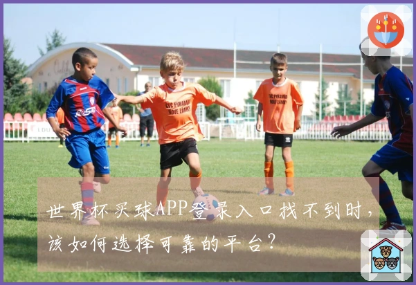 世界杯买球APP登录入口找不到时，该如何选择可靠的平台？