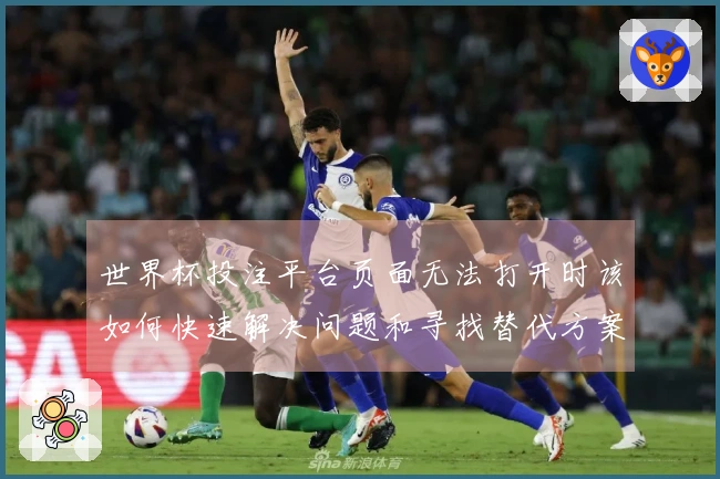 世界杯投注平台页面无法打开时该如何快速解决问题和寻找替代方案
