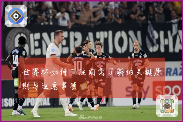 世界杯如何下注前需了解的关键原则与注意事项