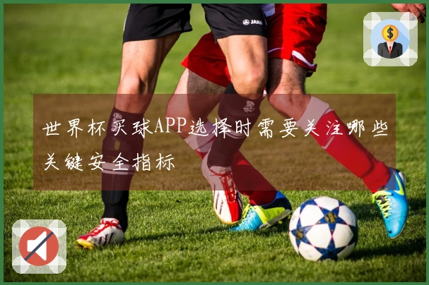 世界杯买球APP选择时需要关注哪些关键安全指标