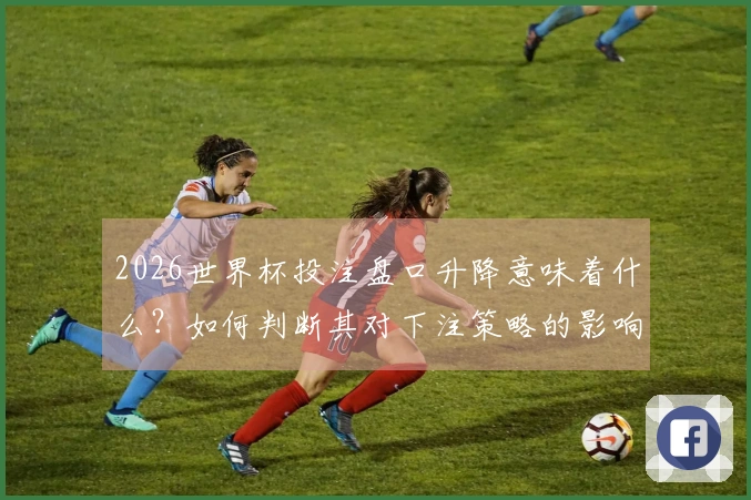 2026世界杯投注盘口升降意味着什么？如何判断其对下注策略的影响？