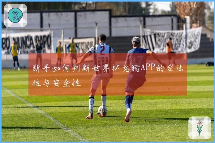新手如何判断世界杯竞猜APP的合法性与安全性