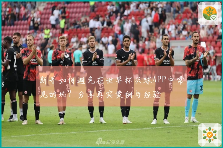 新手如何避免在世界杯买球APP中常见的坑？分享真实案例与经验