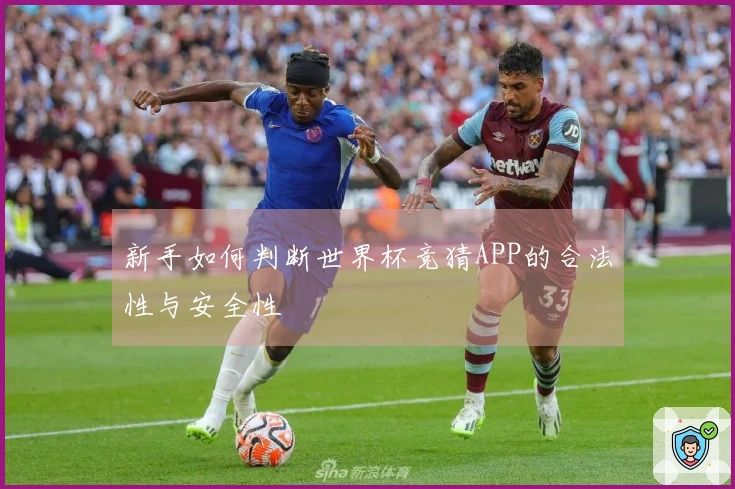 新手如何判断世界杯竞猜APP的合法性与安全性
