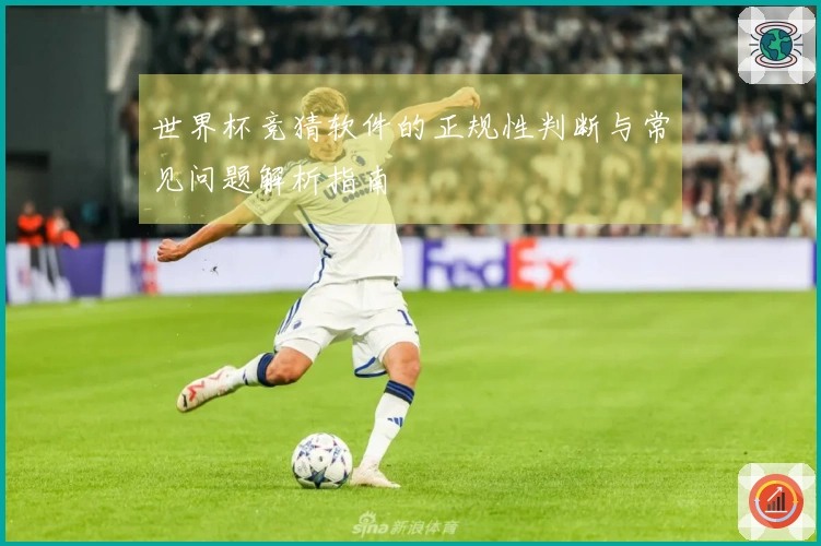 世界杯竞猜软件的正规性判断与常见问题解析指南