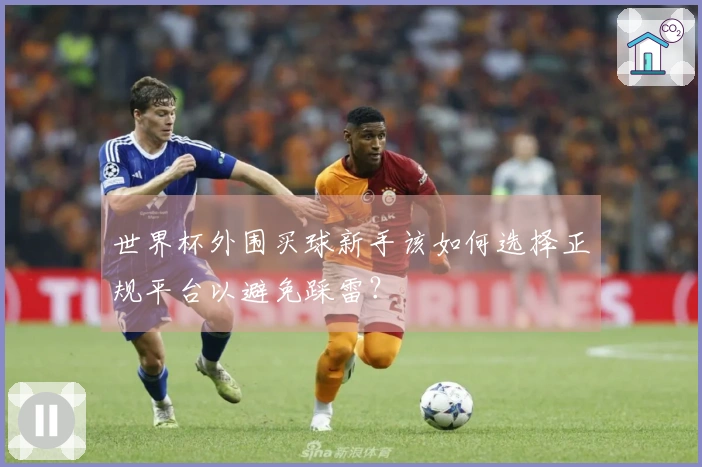 世界杯外围买球新手该如何选择正规平台以避免踩雷？