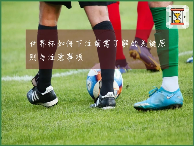 世界杯如何下注前需了解的关键原则与注意事项