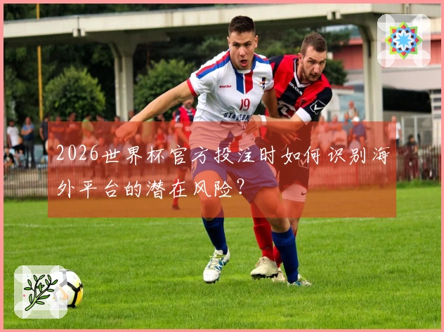 2026世界杯官方投注时如何识别海外平台的潜在风险？